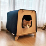 Neko Kedi evi, Kedi Yuvası resmi